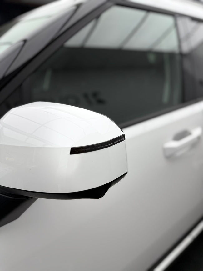 Hyundai Santa Fe Mirror Indicator Overlay