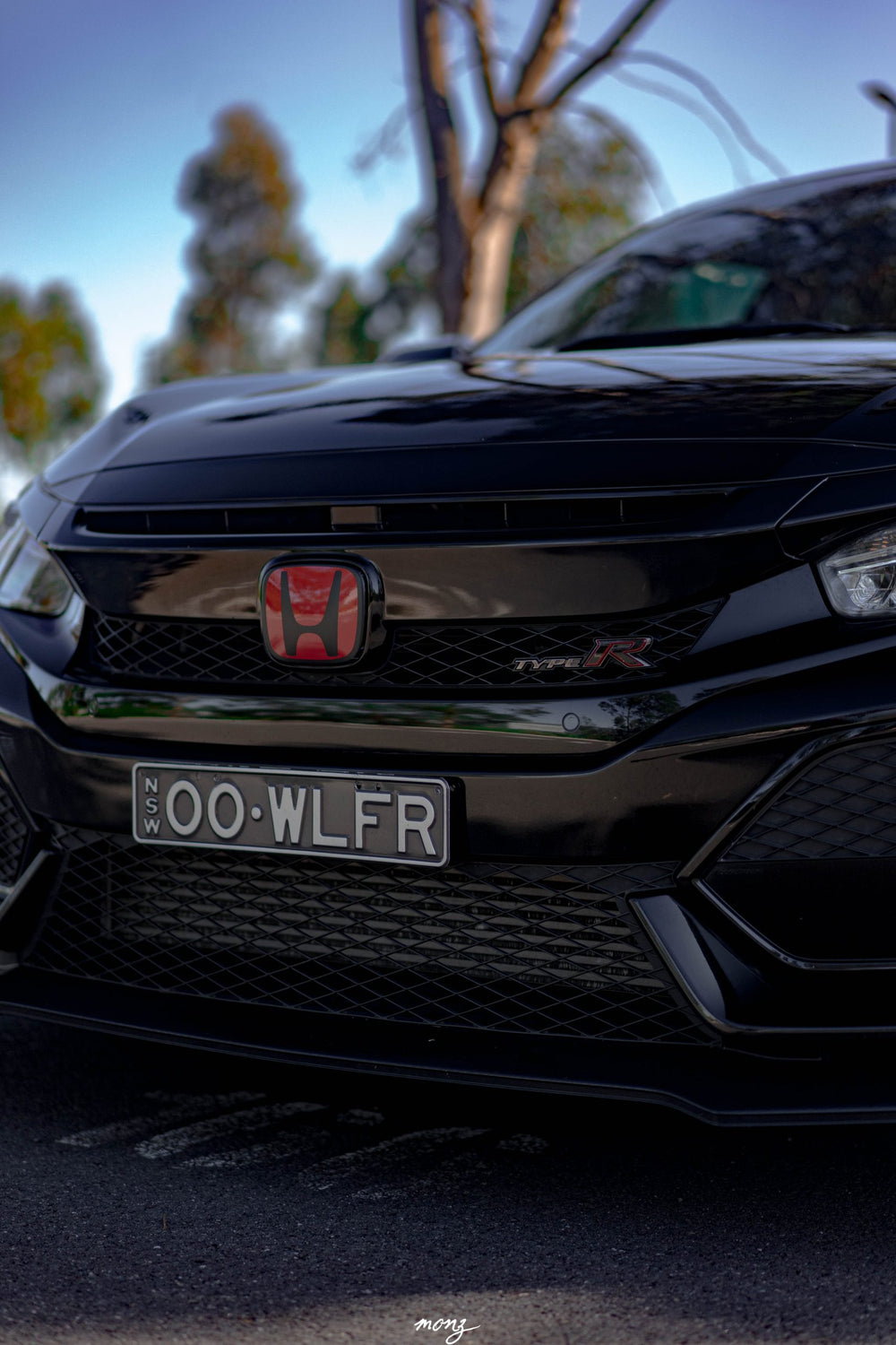 Honda Civic Type R Badge Overlay Kit 2019-2022