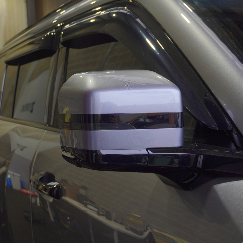 Denza B5 Mirror Indicator Overlay 2026+