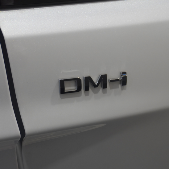 BYD Sealion 6 Rear "DM-i" Lettering Overlay 2024+