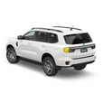 Ford Everest DIY Full Tail Light PPF/Tint Kit 2022-2025