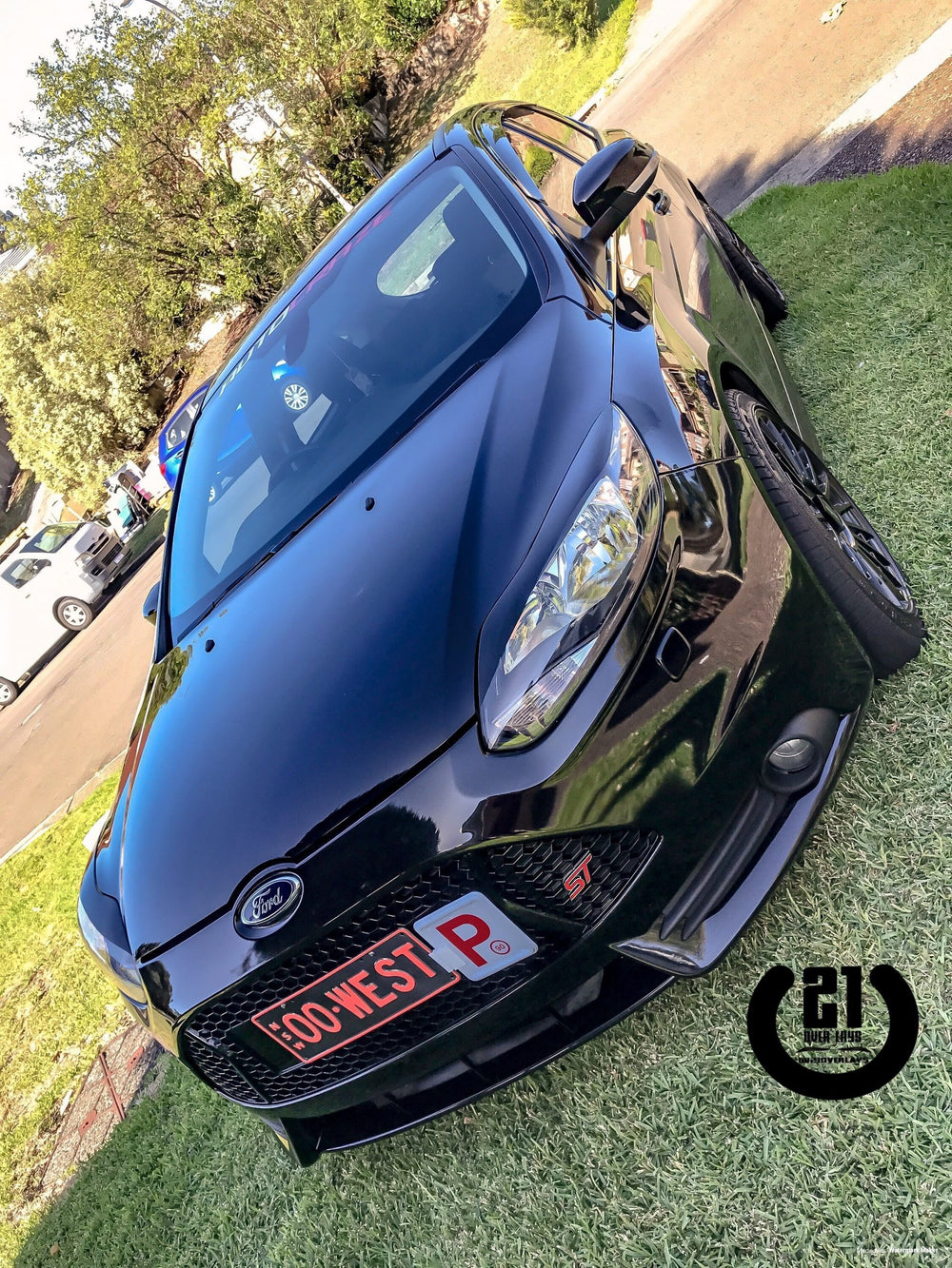 Ford Focus ST Vinyl Eyelids
